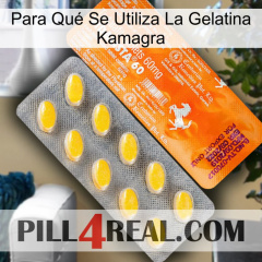 Para Qué Se Utiliza La Gelatina Kamagra new05